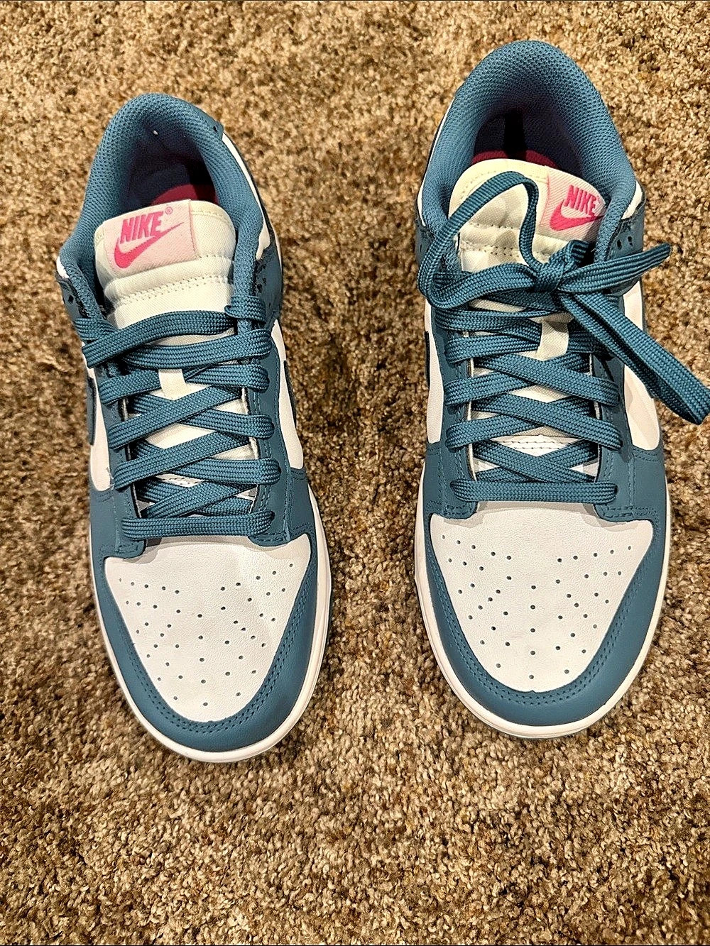 Nike Dunk Low Sneakers in Blue & White